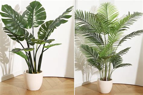are fake plants beneficial in a ho e